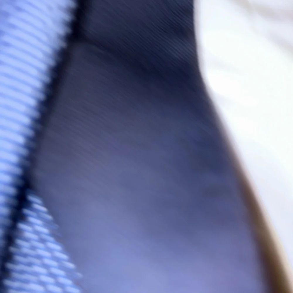 MICHAEL Michael Kors Dark‎ Blue Blazer designer. Business